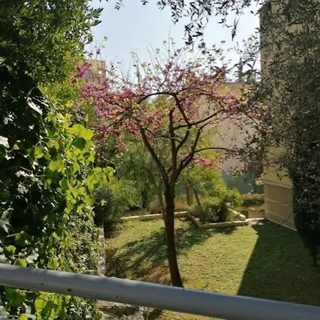 Apartment Villa Soraya , Quiet Location With Big Garden Near Beach And Old Town Of Nice Nice