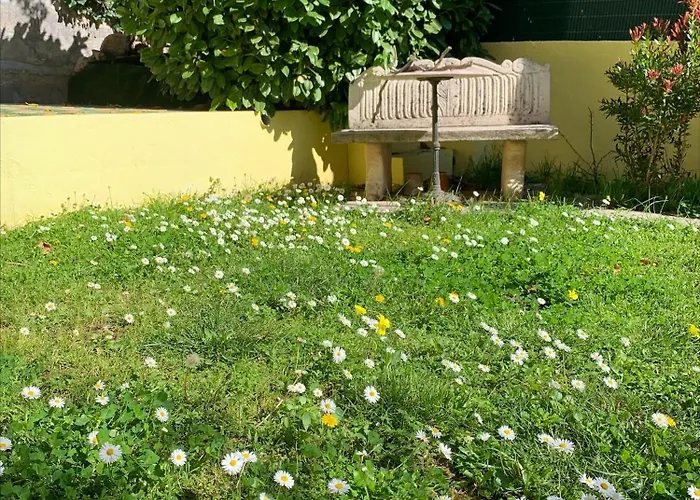 Soraya - Sunny Cote D'azur With Large Garden Apartamento *